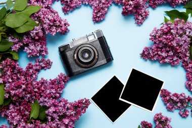 Retro film kamera ve mavi arka plan üzerinde photocards ile Leylak buketi. Üst görünüm, düz yatıyordu