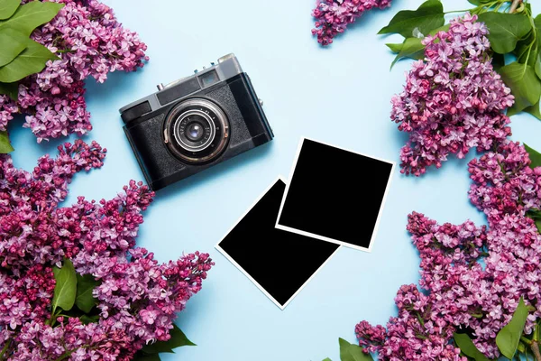 Retro film kamera ve mavi arka plan üzerinde photocards ile Leylak buketi. Üst görünüm, düz yatıyordu