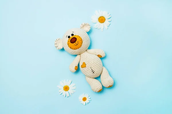 Amigurumi oso de peluche hecho a mano con margaritas aisladas sobre un fondo azul. Fondo de bebé. Copiar espacio, vista superior . — Foto de Stock