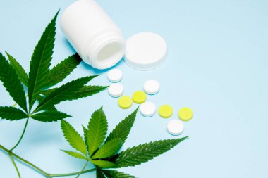 Mavi arka planda tıbbi haplar olan marihuana yaprağı. Marihuana yasallaştırma kavramı.