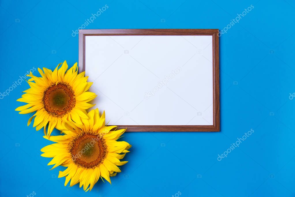 Sunflowers flowers on blue background, copy space on empty paper note, top view