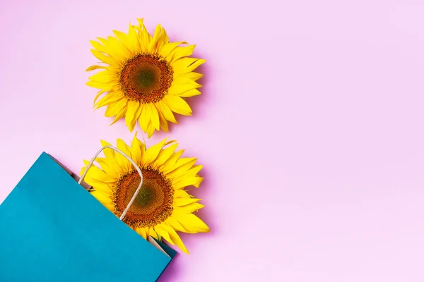 분홍색 배경에 누워 가방에 해바라기. 맨 위 보기. 익지 않은 신선한 해바라기 — 스톡 사진