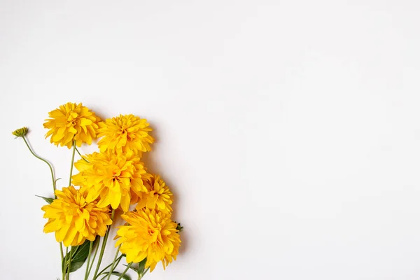 Beau bouquet de chrysanthèmes jaunes en gros plan sur fond blanc avec espace vide et dégagé, place pour le concept de carte postale texte . — Photo