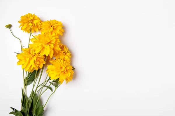 Beau bouquet de chrysanthèmes jaunes en gros plan sur fond blanc avec espace vide et dégagé, place pour le concept de carte postale texte . — Photo