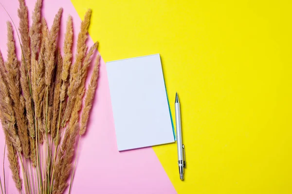 上のビューフラットレイ画像は、空白のメモ帳のページと色付きの表面にペンを持ちます。黄色とピンクのアートの背景. — ストック写真