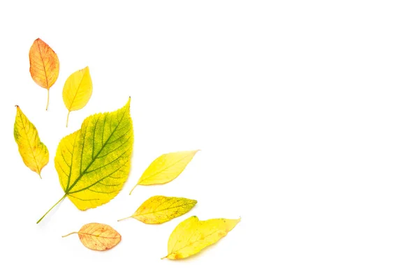 Composición de otoño. Marco hecho de hojas de arce de otoño aisladas sobre fondo blanco. Plano, vista superior, espacio para copiar . — Foto de Stock