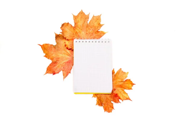 Bloc de notas vacío para escribir o para una lista de deseos en un fondo de otoño de hojas de arce de color aislado en blanco . — Foto de Stock