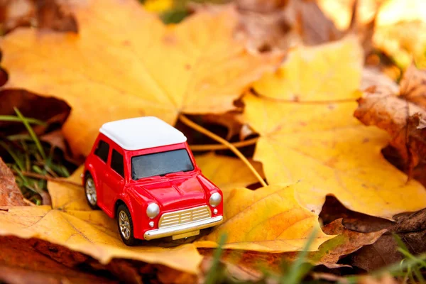 Pequeño Coche Juguete Rojo Sobre Fondo Hojas Otoño Concepto Entrega — Foto de Stock