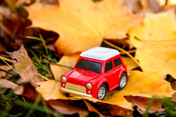 Pequeño Coche Juguete Rojo Sobre Fondo Hojas Otoño Concepto Entrega — Foto de Stock