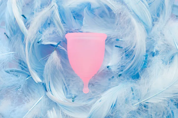 Cangkir Menstruasi Pada Latar Belakang Bulu Burung Biru Produk Higenitas — Stok Foto