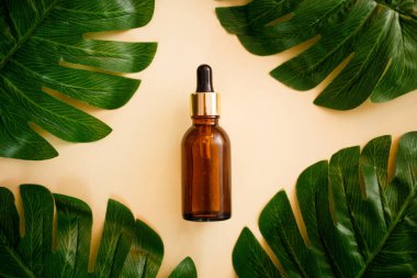 Damlatan cam şişelerden oluşan düz bir döşeme. Cilt yağı, krem rengi arka planda, canavar yaprağı ve üst görünümde taklit etmek için temel yağ ürünleri.