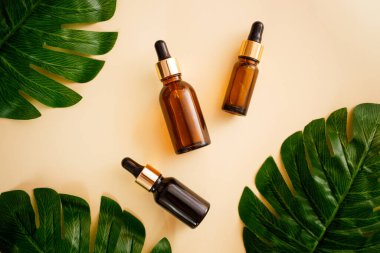 Damlatan cam şişelerden oluşan düz bir döşeme. Cilt bakım ürünleri. Krem rengi, pastel arka planda, canavar yaprağıyla taklit etmek için temel yağ ürünleri.