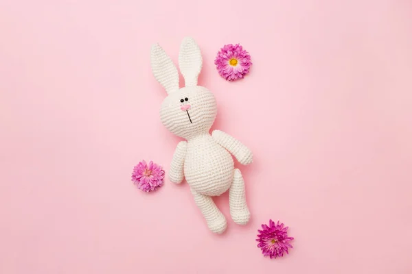 用粉红色背景中分离出来的花朵菊花编织而成的兔子之友 婴儿背景 复制空间 顶部视图 — 图库照片