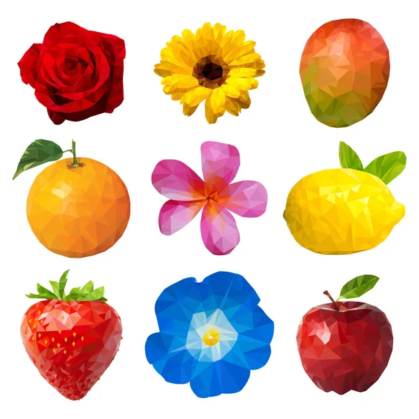 Eine Polygon Vektorillustration Von Früchten Und Blumen — Stockvektor
