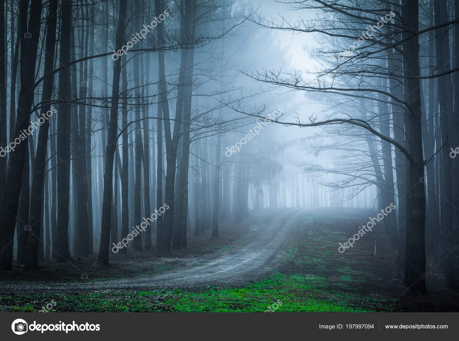 Saintnatti's Profile - MyAnimeList.net, image size:1600x1190