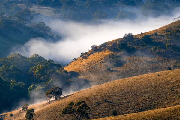 Туман Adelaide Hills — стокове фото