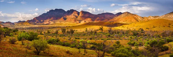 Flinders Glory — Stock Photo, Image