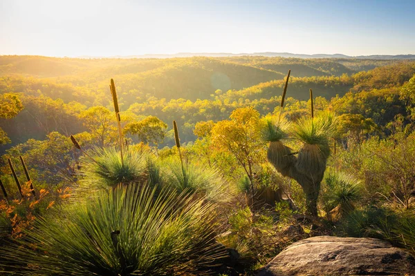 Amanecer aussie Fotos De Stock Sin Royalties Gratis