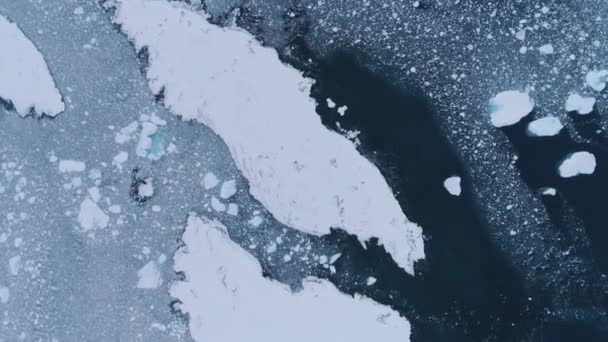 Zoom de l'île de neige au pingouin. Plan Antarctique . — Video