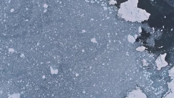 Ανταρκτική κηφήνας πτήση πάνω από τον ωκεανό του πάγου, βάση. — Αρχείο Βίντεο