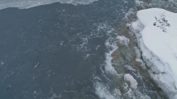 바다에서의 수 중 펭귄 남극 샷. — 비디오