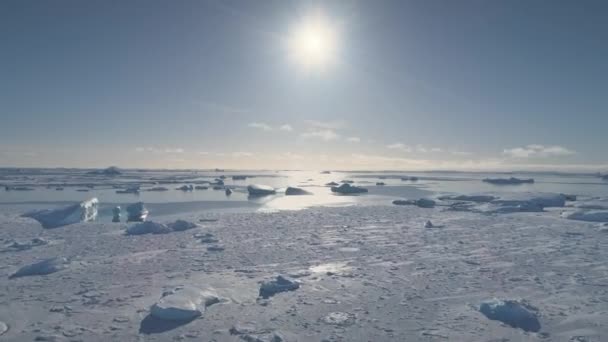 Воздушный полет над океаном Антарктиды на закате . — стоковое видео