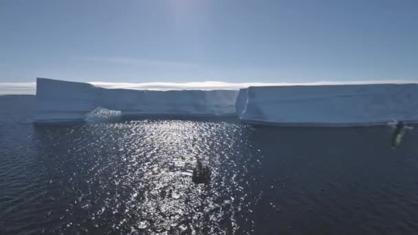 Tourist boat among Antarctica ocean. Aerial shot. — Stock Video