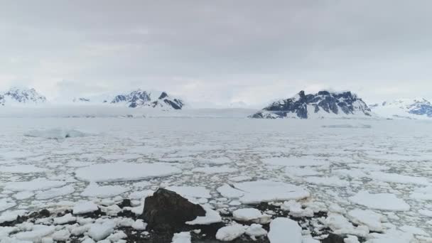 Antarctica aerial flight over ice ocean, penguins. — Stock Video