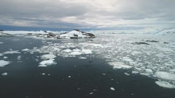 Пингвины прыгают в океане Антарктиды. Воздушный удар . — стоковое видео