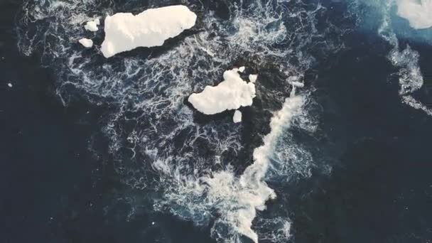 Icebergs among Antarctica ocean. De arriba hacia abajo tiro . — Vídeos de Stock