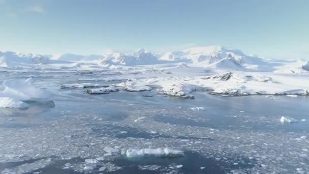 Luchtfoto van de Arctic polar berg kust timelapse — Stockvideo