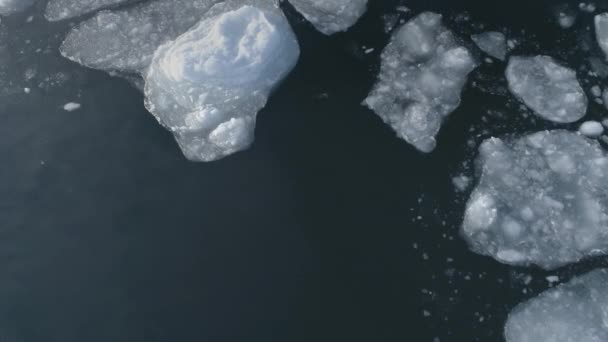 Антарктичний drone політ над океаном плаваючий лід — стокове відео