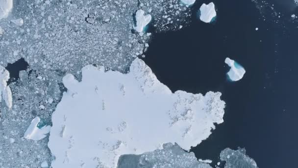 Iceberg antarctique vue aérienne du haut vers le bas — Video