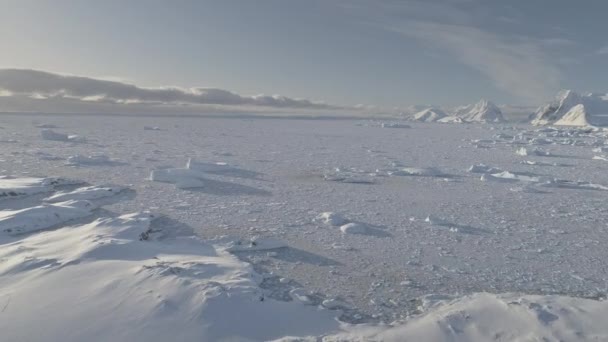 Pobřeží antarktického oceánu zmrazené neomalený ledové Vzdušný záběr — Stock video