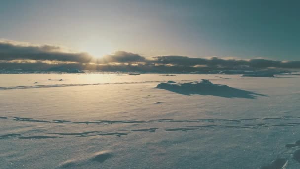 Soluppgång över arktiska snö täckte ytan ovanifrån — Stockvideo