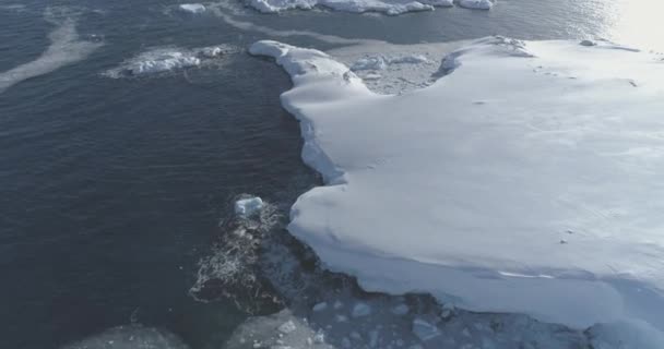 Antarktis kust seascape antenn flygning med havsutsikt — Stockvideo