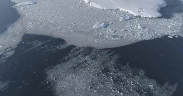 Antarctica vernadsky station antenne zoom im blick — Stockvideo