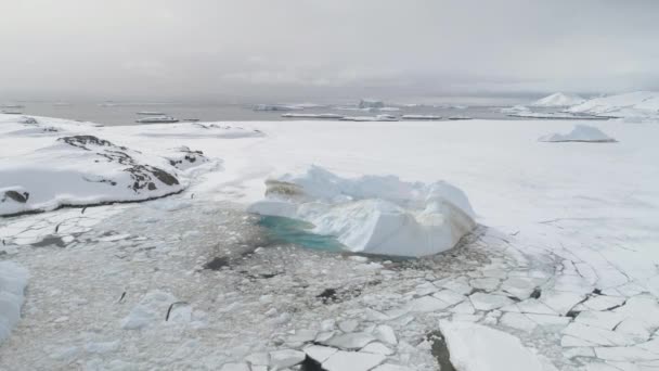 Gaviota antártica vuela sobre iceberg vista aérea superior — Vídeo de stock