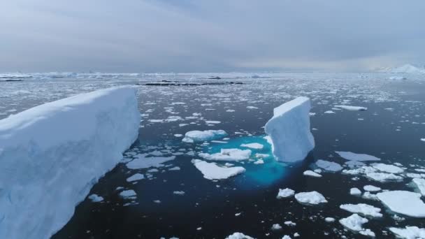 Antártida iecberg flotador océano glaciar vista aérea — Vídeos de Stock