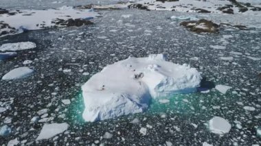 Antarktika büyük buzdağı float görünümü izleme hava