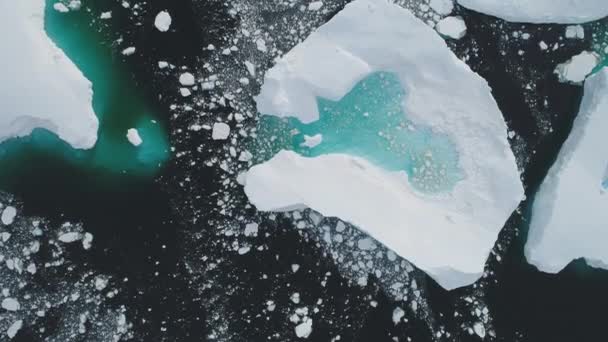 Antarctica iceberg turquoise lake top aerial view — Stock Video
