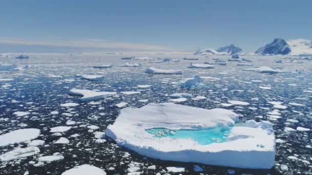 Antarctica smelten blauw water ijsberg luchtfoto — Stockvideo