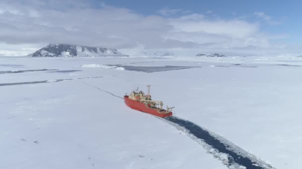 南極砕氷船改氷空中ズーム ビューで Packice トップ飛行ドローンで薄い南洋冷凍表面を介してローレンス グールド研究船フロート ショット映像 Uhd — ストック動画