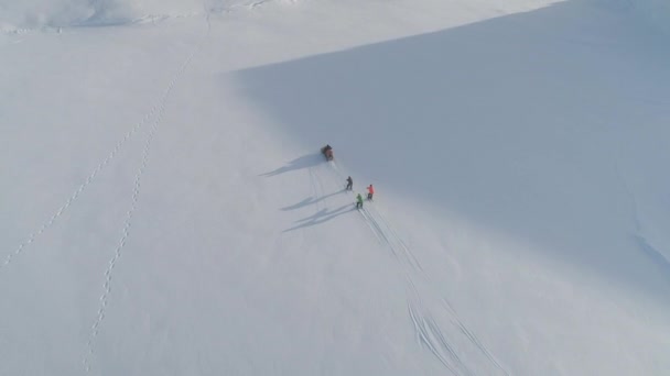 Snowmobile Pull Ski Arctic Majestic Landscape Drone Flight Tracking Shot — Video