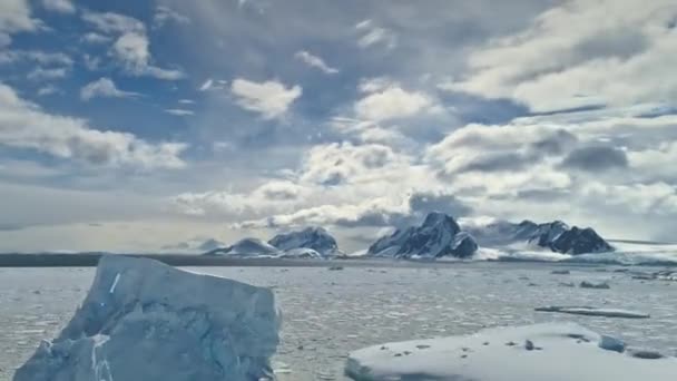 Kar drift Antarktika vahşi doğa havadan görünümü — Stok video
