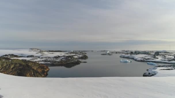 남극 야생 자연 물 표면 공중 보기 — 비디오