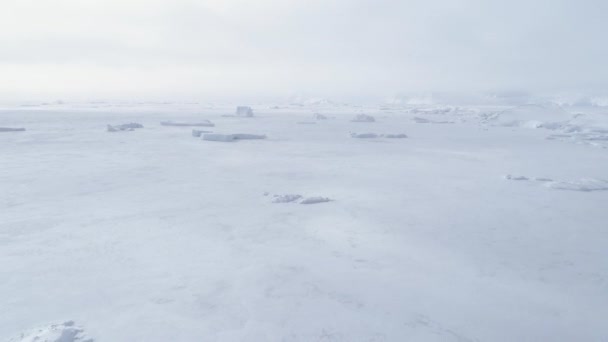Vista aérea de la superficie de agua congelada del océano polar — Vídeos de Stock