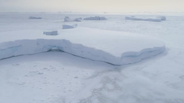Tabelární ledovce uvízl v zamrzlém moři letecký pohled — Stock video