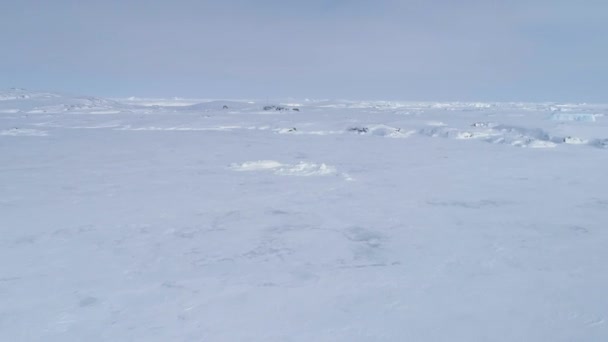 Antarctica vernadsky station aerial flight view — Stock Video
