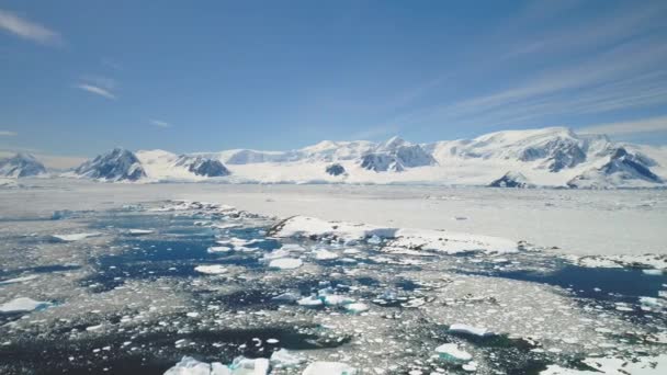 Antarctica schiereiland Oceaan kust zeegezicht luchtfoto — Stockvideo